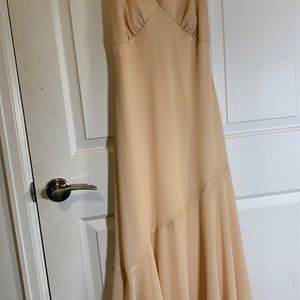 Champagne Sparkly Dress